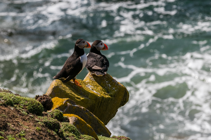 Ireland May 2016 (26)